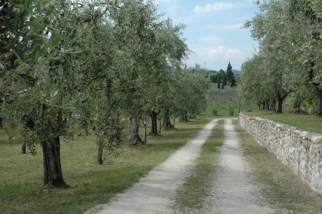 Agriturismo Tenuta La Pergola 바르돌리노 외부 사진