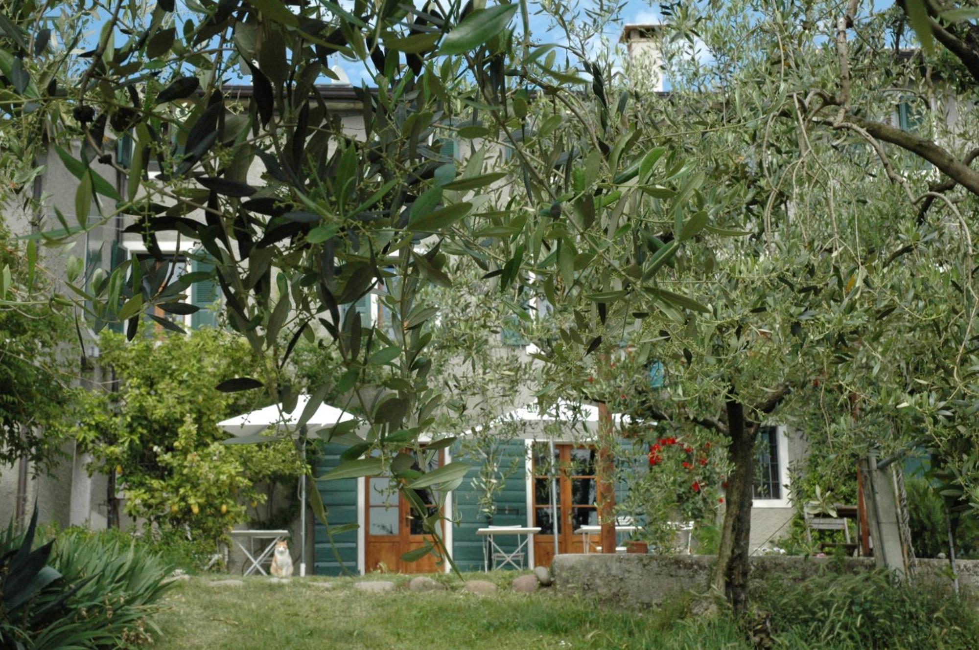 Agriturismo Tenuta La Pergola 바르돌리노 외부 사진