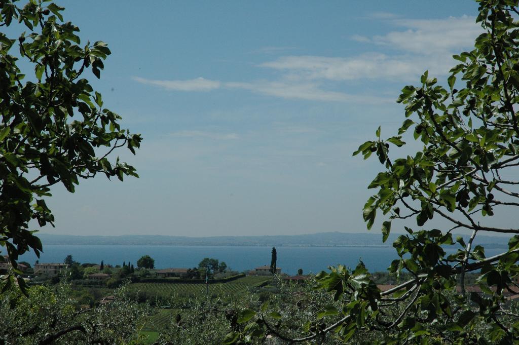 Agriturismo Tenuta La Pergola 바르돌리노 외부 사진