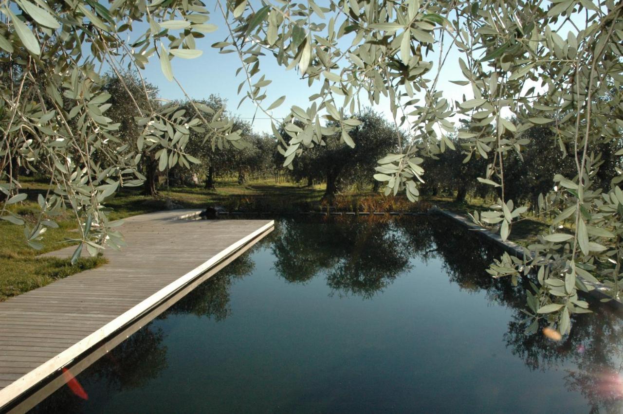 Agriturismo Tenuta La Pergola 바르돌리노 외부 사진